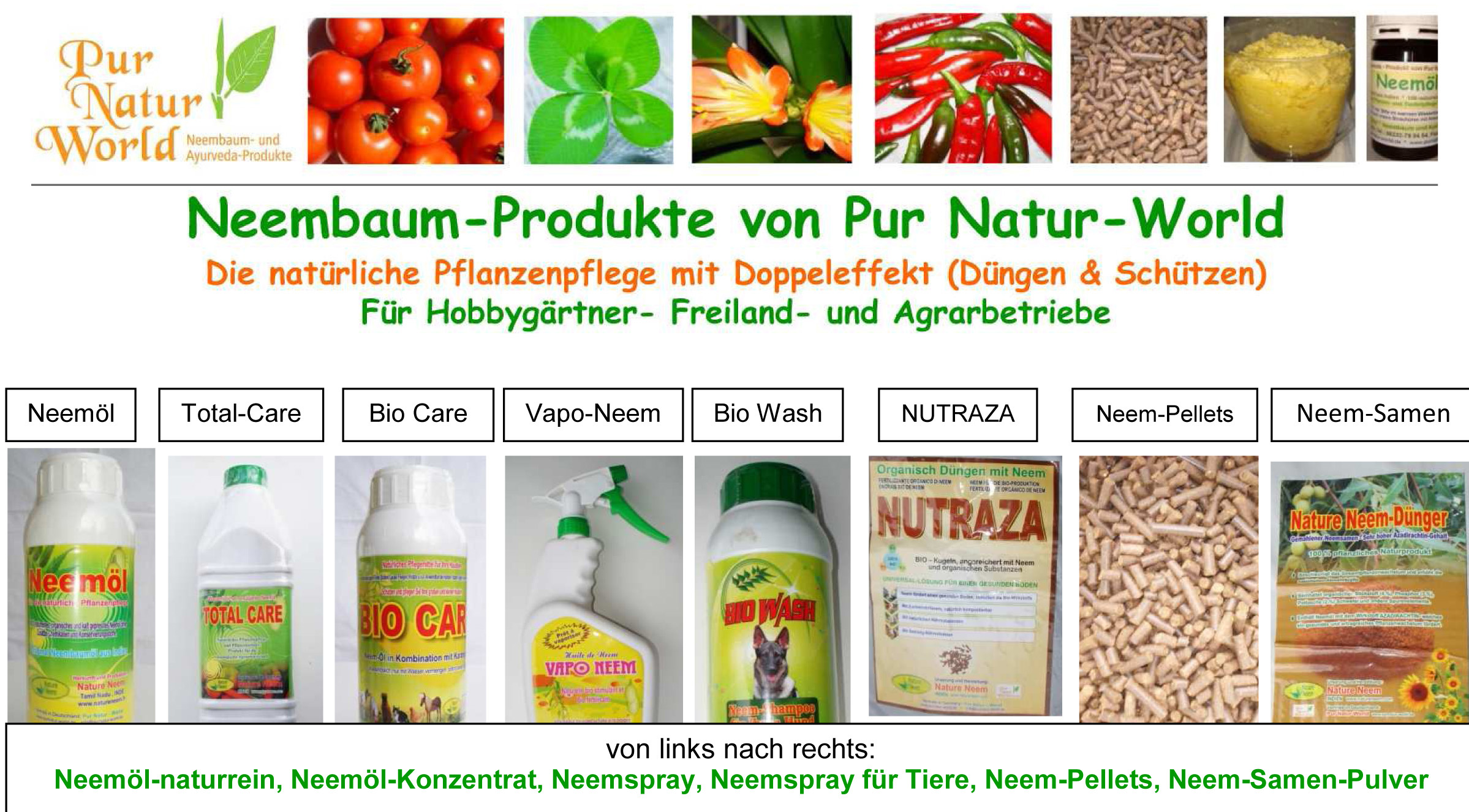 Werbung-Produkte-2012-1